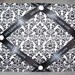 Black and White Damask Frame