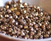 50 pieces of gold bronze 4 mm fire polished czech crystal beads (CZ04-119)