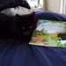 The Adventures of Precious the Dog: Book 1