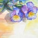 Viola Flowers Watercolor - Purple Pansies in Clay - Fine Art Home Decor - watercolor giclee print