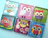 Owl Glass Magnets - Colorful - Inch Square