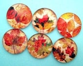 Fall Leaves Magnets - Inch Circle Premium Glass - Set of Six