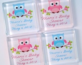 Owl Baby Shower Favors - Magnets - 20 Personalized Favors - 1 3/8 Inch Glass Squares