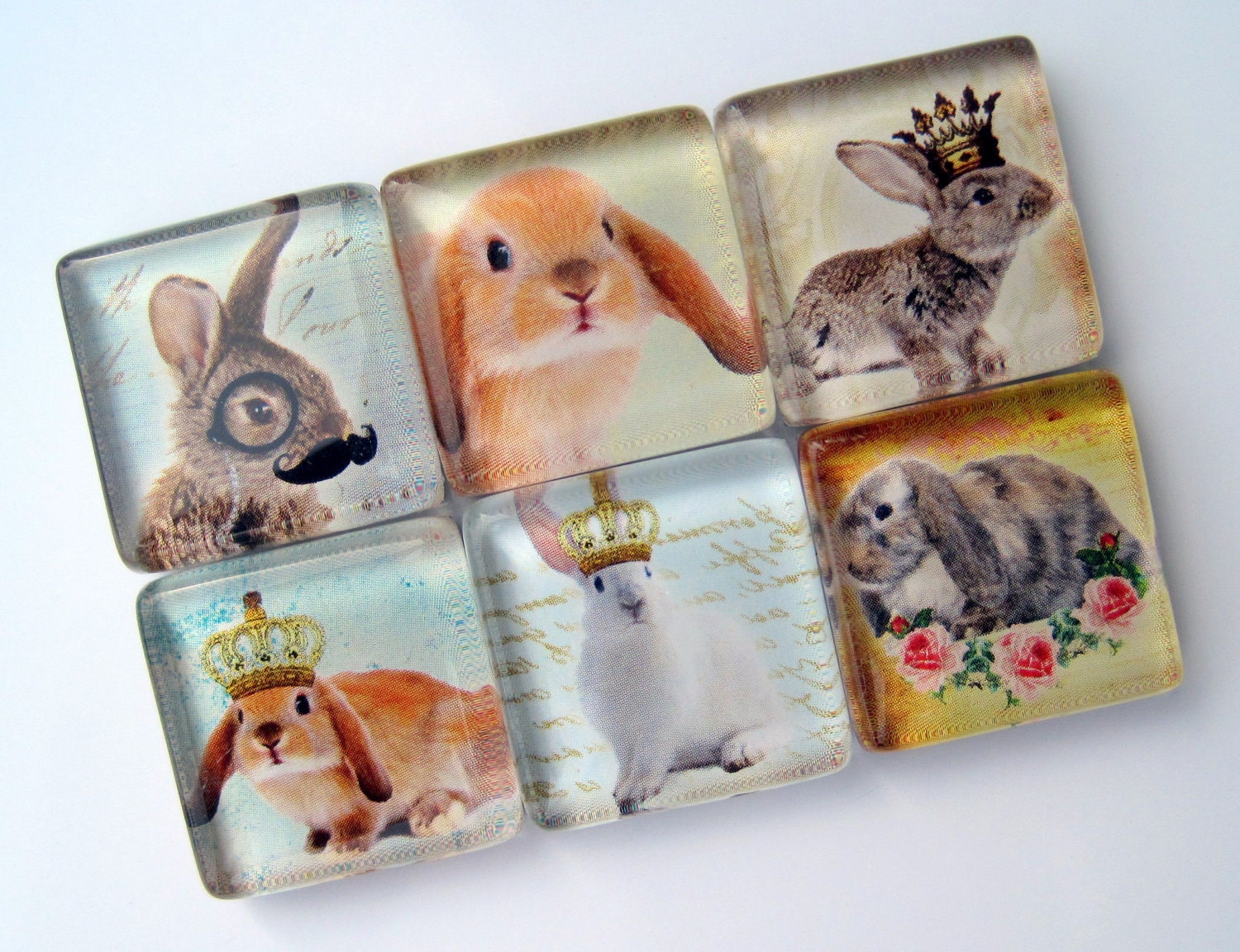 Magnets - Bunnies Rule - Set of Six 1 Inch Square Strong Magnets