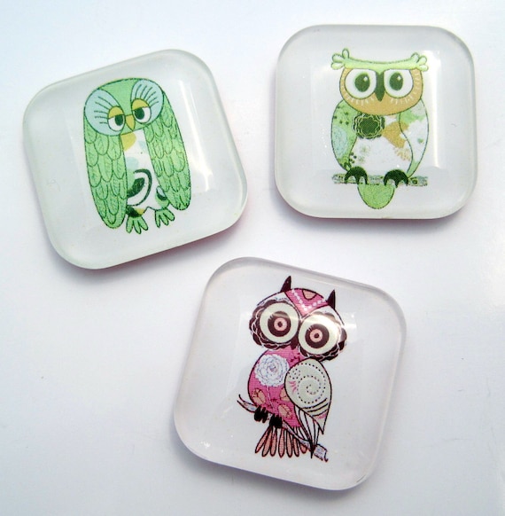 Owl Magnets - Pink and Green - Set of 3 One Inch Glass Magnets
