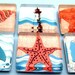 Beach Magnets - Seashells and Sailing - Inch Square Glass