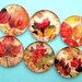 Fall Leaves Magnets - Inch Circle Premium Glass - Set of Six
