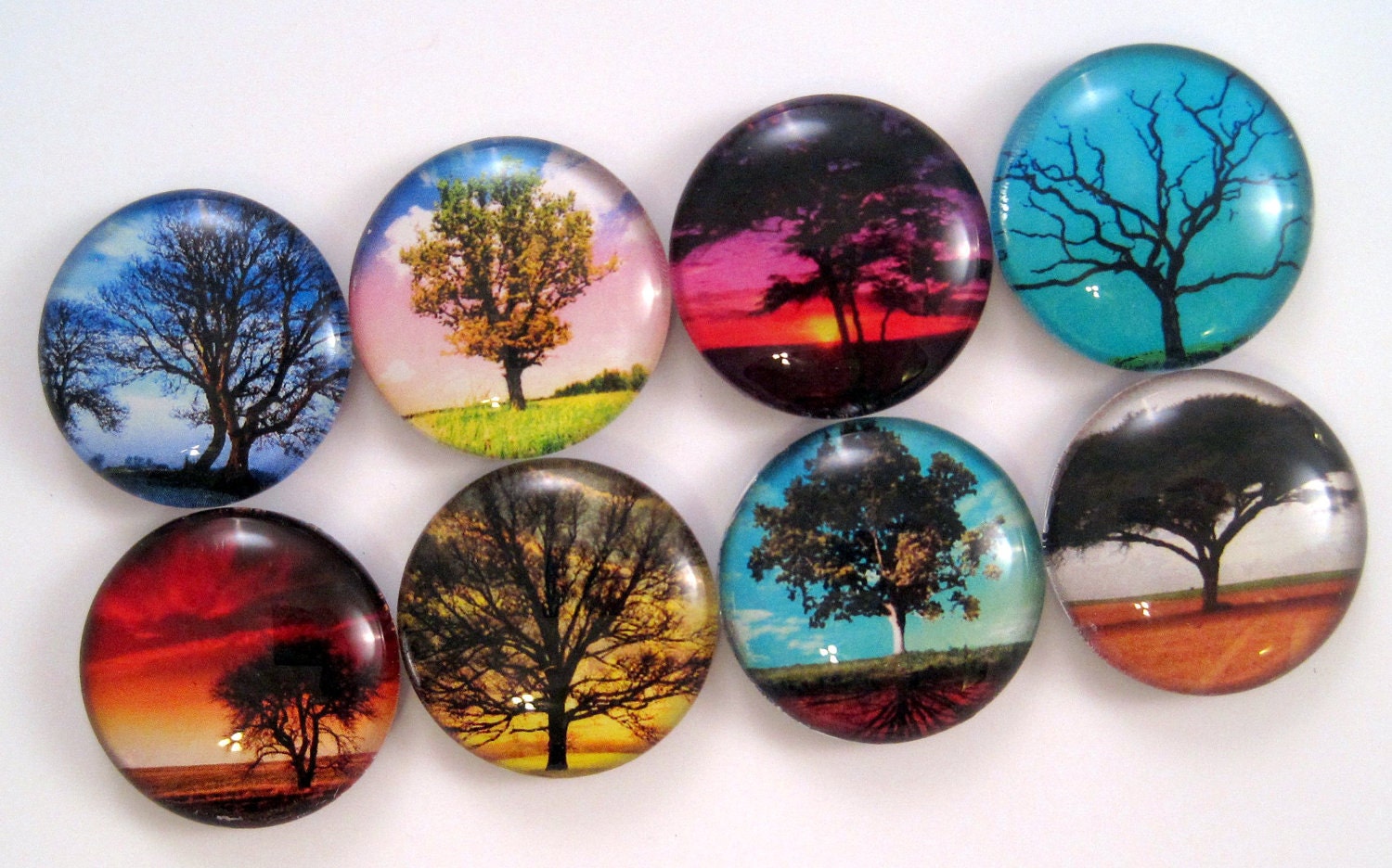 Tree Magnets - Set of Eight Glass Magnets - 1 Inch Strong Magnets