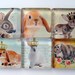 Magnets - Bunnies Rule - Set of Six 1 Inch Square Strong Magnets