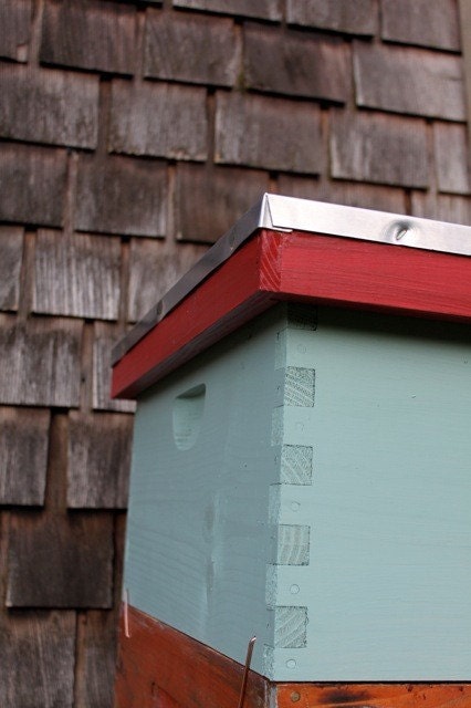 Bee Hive 8x10 Fine Art Print