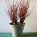French Zinc Garden Pail