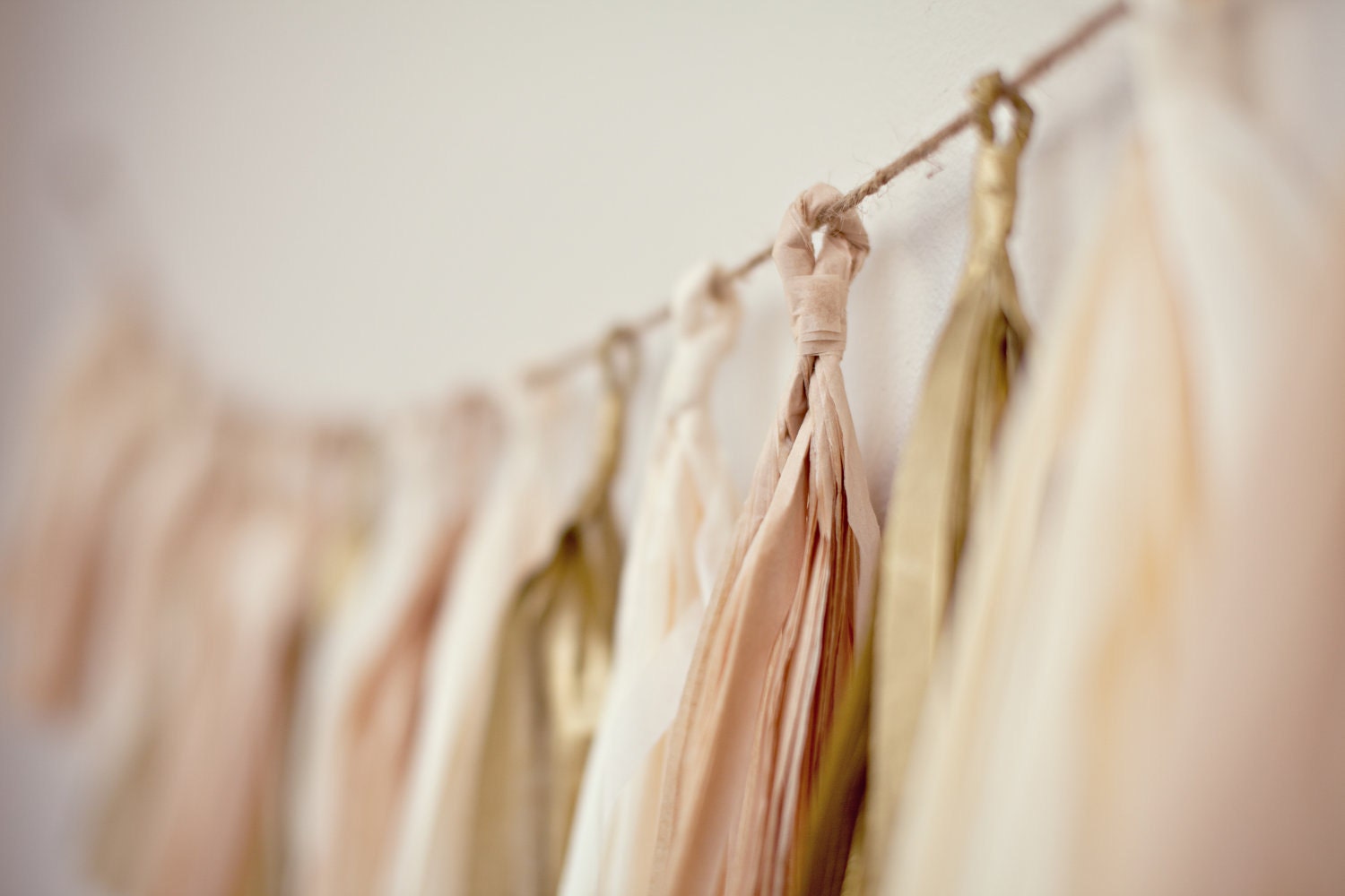 Tassel Party Garland: Blush