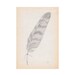 Feather II - A5 Giclee print