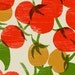 Cherry tomatoes Kitchen Art Print  11"x15" - archival fine art giclée print