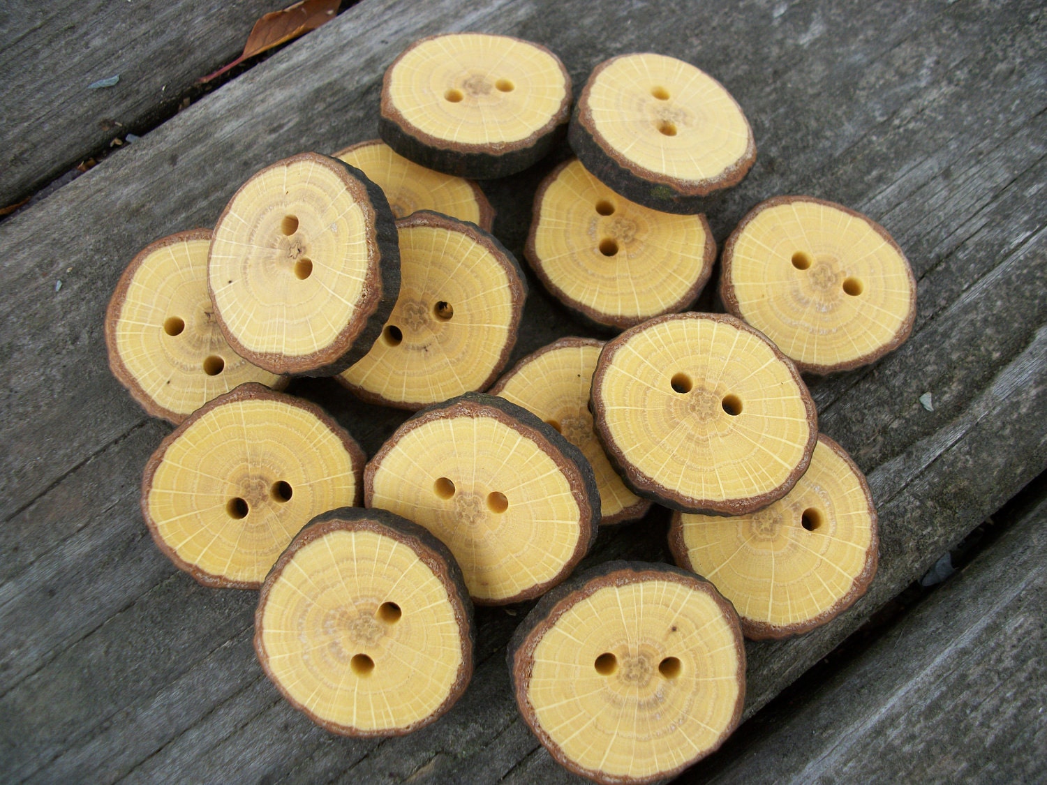 15 Oak Wood Buttons. About 1.25 Inches Wide