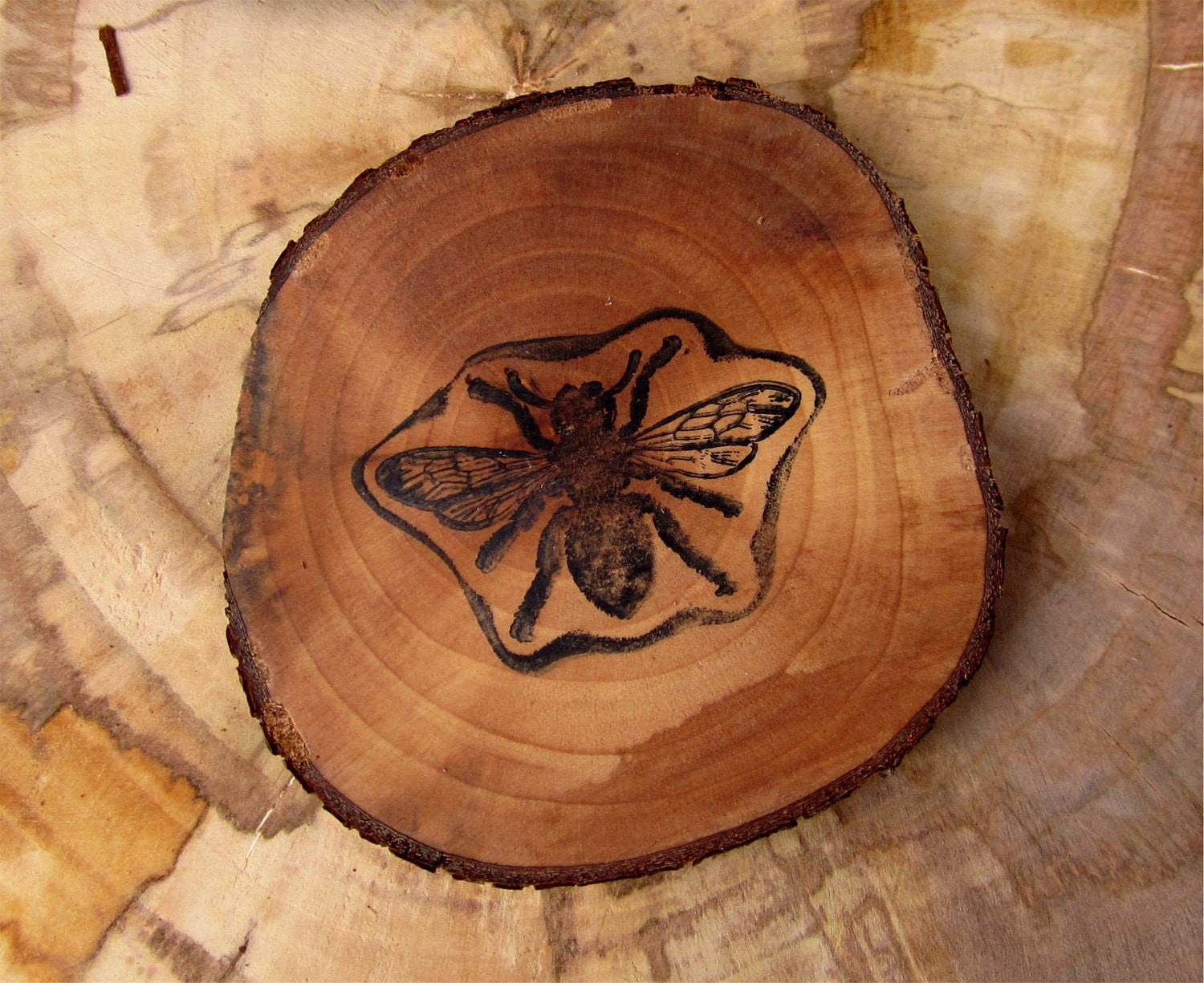 Wooden Coasters Set 6