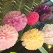 Set of 6 Tissue Poms......Pick Your Colors