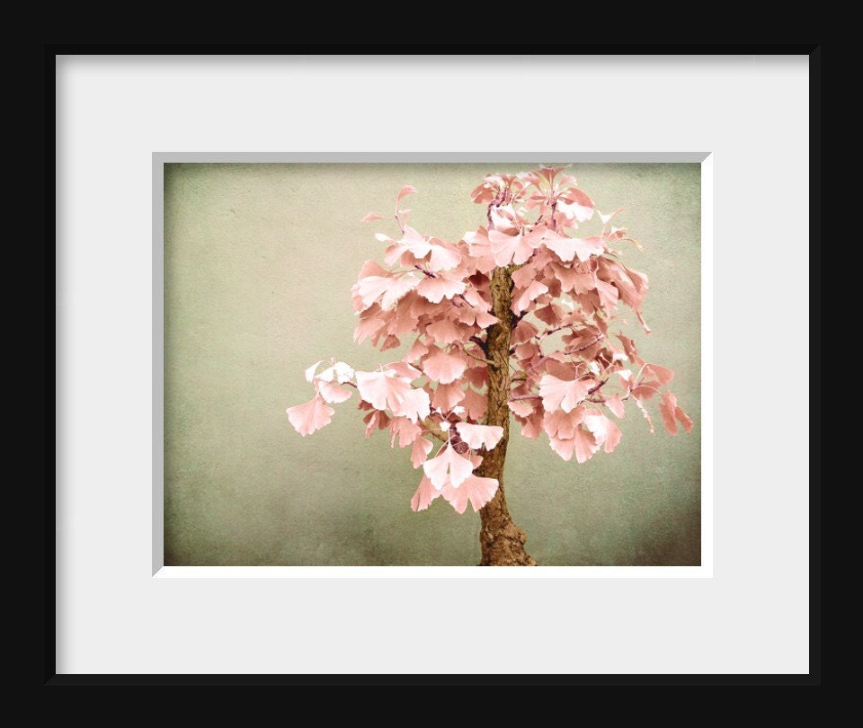 ON SALE Gingkosai - 8x10 Fine Art Print