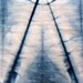 Indigo Dyed Cotton Scarf : Isis