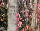 Sweetheart Tree Personalized Photograph,  Couples Names Carved in the Tree, Unique Valentine's Day, Wedding, Anniversary Gift