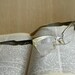 Vintage cat eye glasses 1950s Bausch and Lomb aluminum