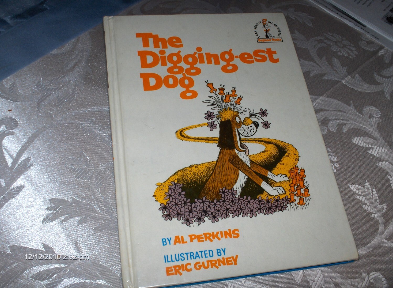digging est dog