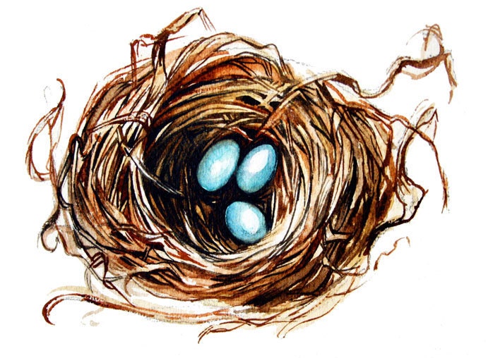 Robin's Nest Blank Art Card