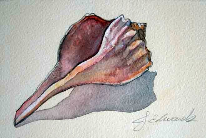 Seashell Watercolor 5- Original Watercolour (nightly study March 26th)