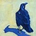Black Raven Fine Art Painting
