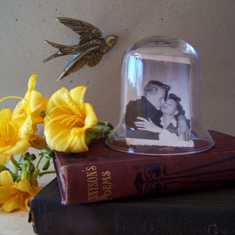 Bell Jar