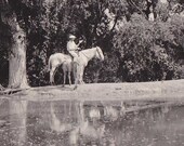 Vintage Black and White Photograph of Mans Attempts To Ride Horse While Horse Nurses Foal
