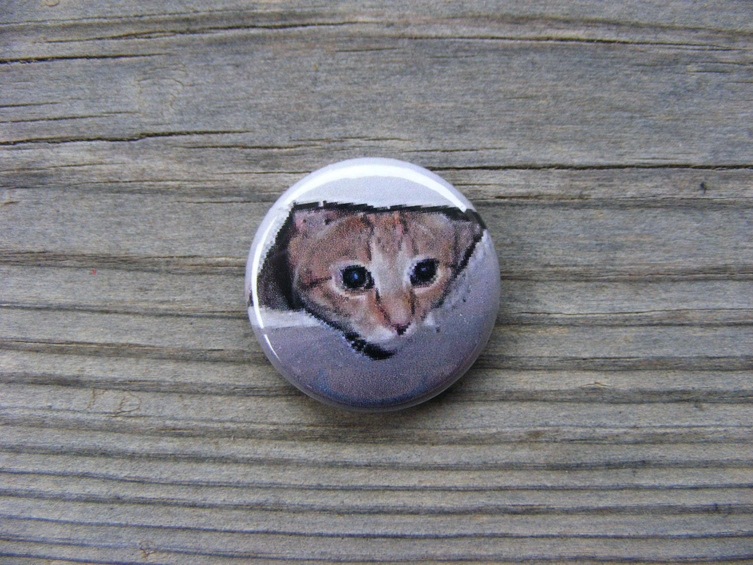 Ceiling Cat - Meme - 1 inch Pin Back Button