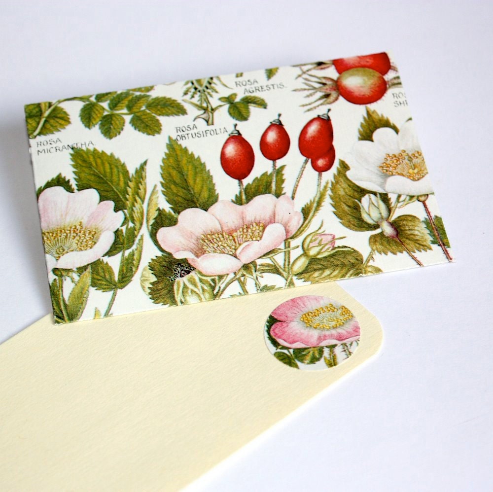 6 upcycled envelopes with note cards and seals - vintage flora