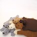 Bear Rug Coaster (Set of Six)