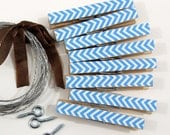 Clothesline Kit. Sapphire Blue Chevron Clothespins and Hanging Wire