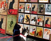 Black Cat Print-Chat Noir Cat Print-