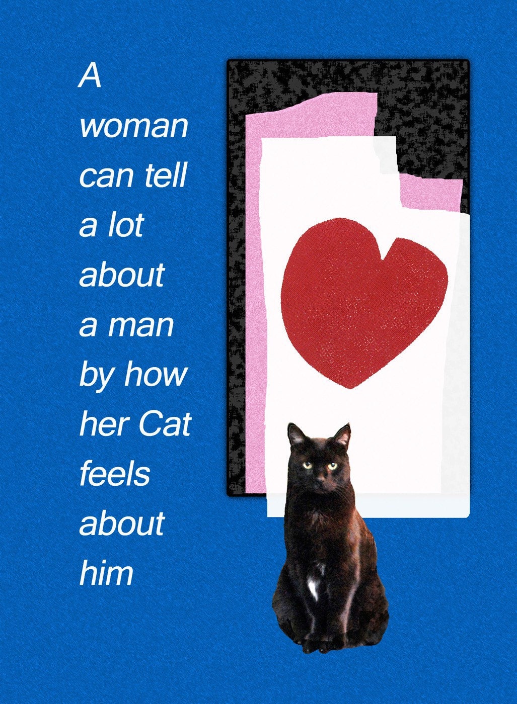 Black Cat Art Print- A Woman Can Tell
