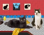 Black Cat Card - Home Sweet Apartment