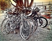 16x20 Bike at the Lake  photo on heavy gloss fine art paper, wall art, home decor