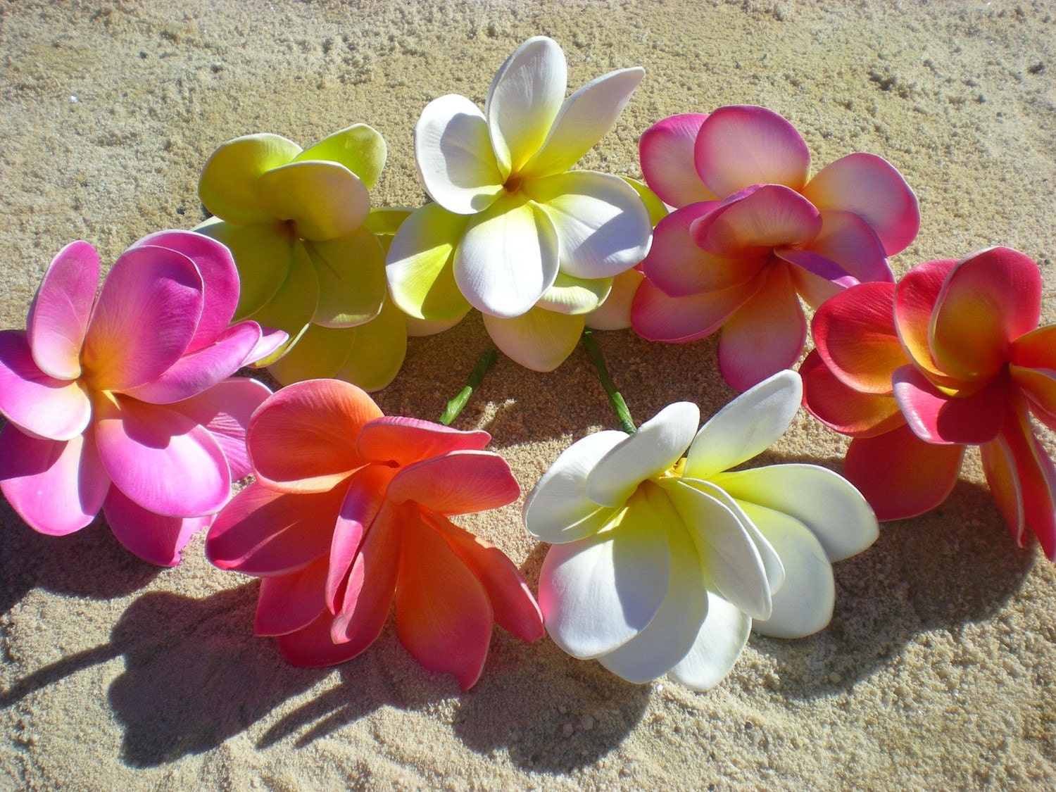 FRANGIPANI HAIR FLOWERS