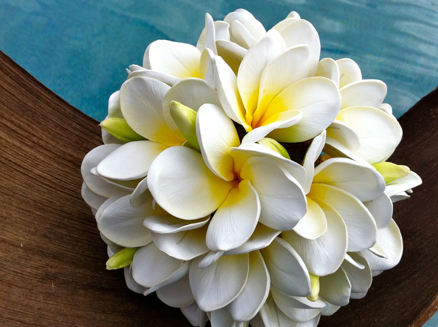 Plumeria Frangipani Bouquet