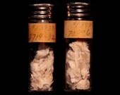 Real African Lion Skin in an Antique Glass Vial