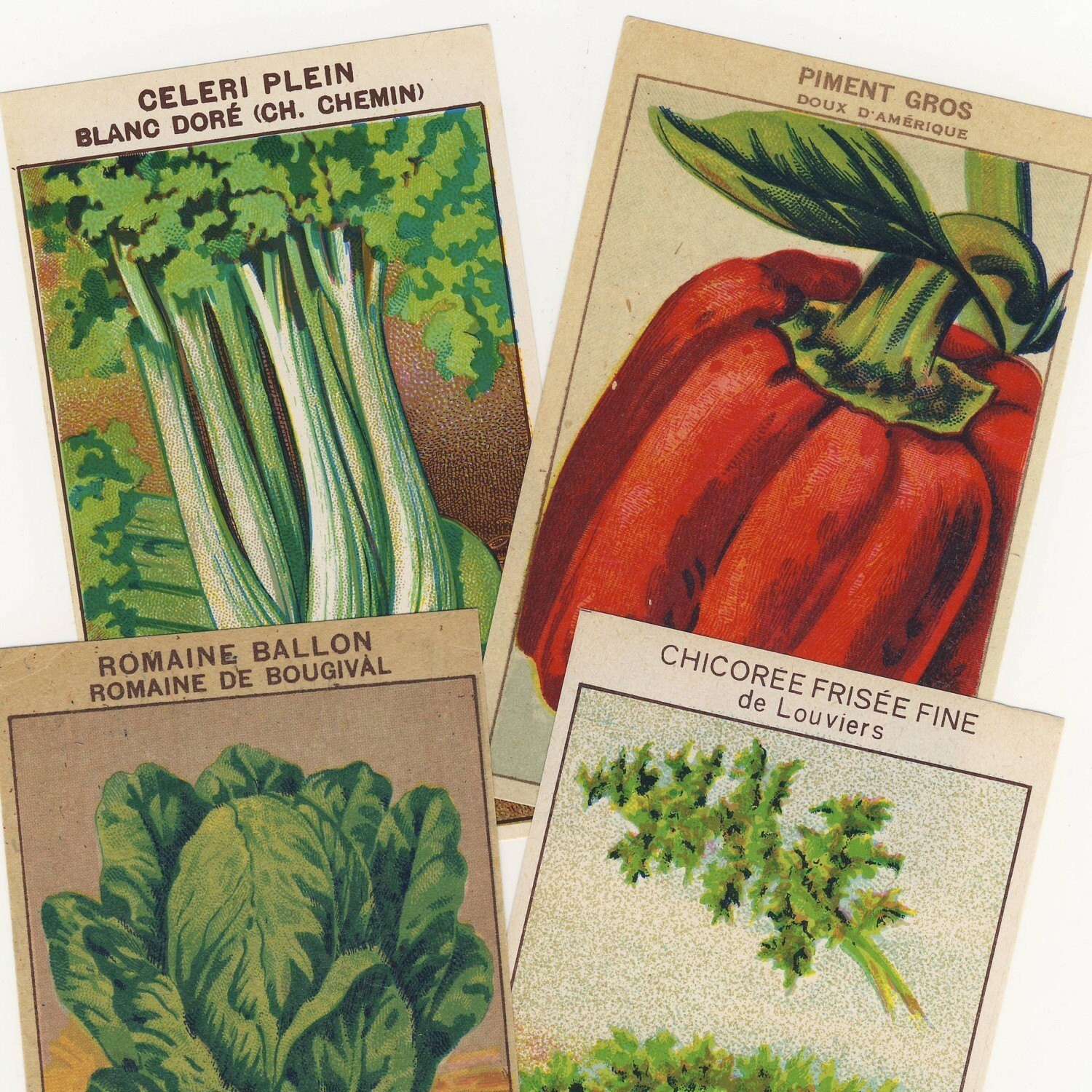 Vegetable Labels