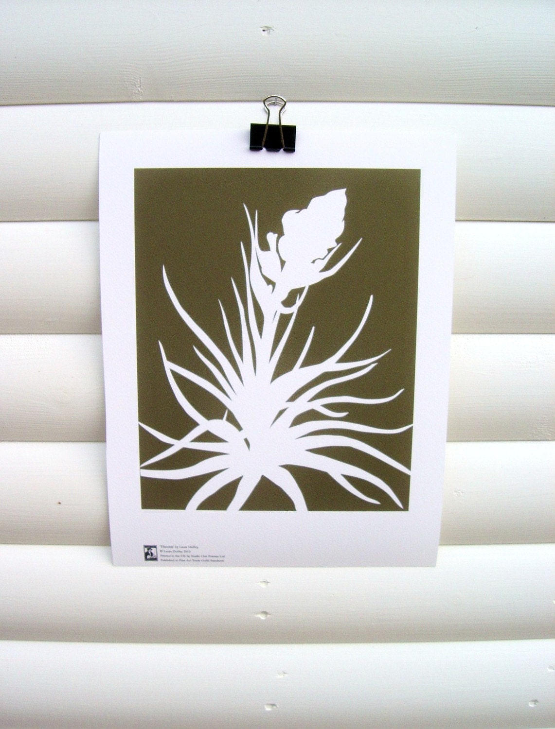 Art Print 10x8 - Chocolate Brown Tillandsia Airplant - Modern Botanical Floral Pretty Papercut Design