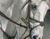 Gray Jumper Print 8 x 10