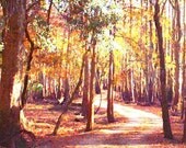 Road to Usher Landing