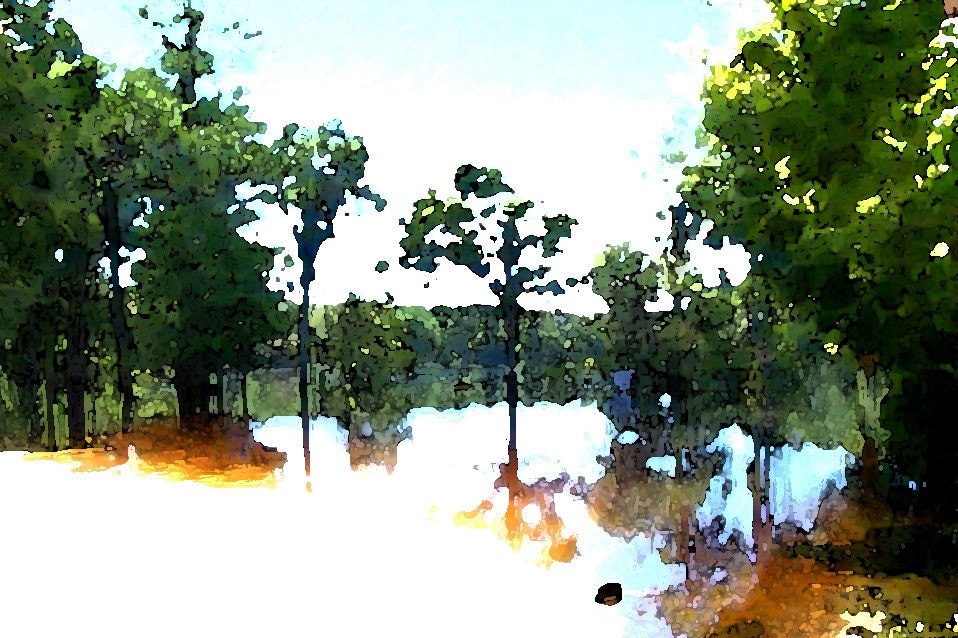Flood at Clay Landing