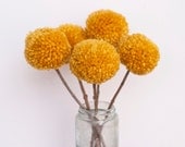 Yarn Pom Pom Flowers-Mustard (5 flowers) - stephlovesben