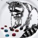 Mr Raccoon loves a Macaroon side plate
