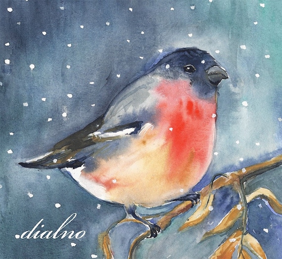 Bullfinch - Print of watercolor painting